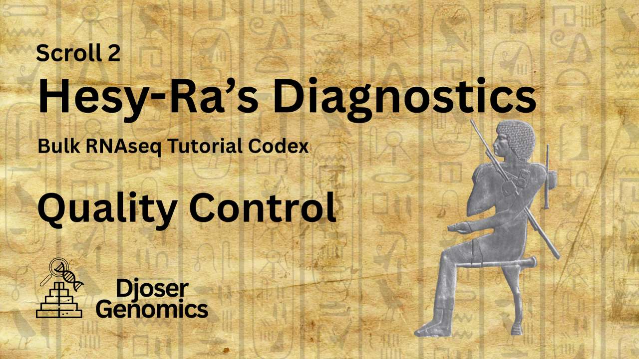 Scroll 2: Hesy-Ra's Diagnostics
